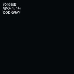 #04090E - Cod Gray Color Image